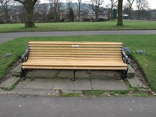 Bowling Green Southeast bench after