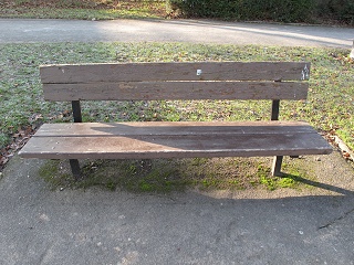 Bench 16 Before