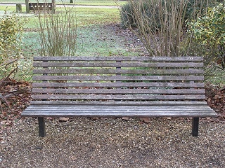 Sensory Garden Bench before
