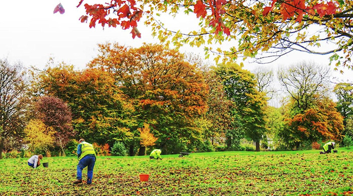 Site of the wildflower meadow sown in Marple Memorial Park