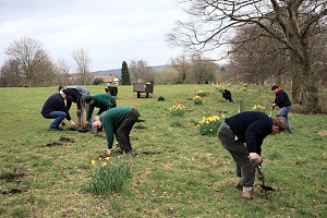 All hands planting wildflowers